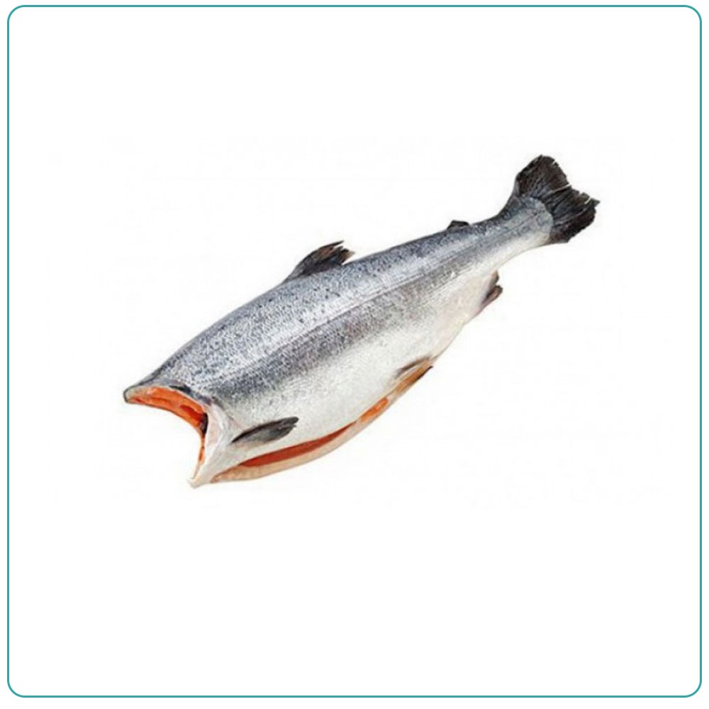 Форель турция