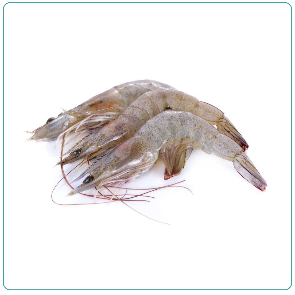 Креветка Иран с/м 40-50