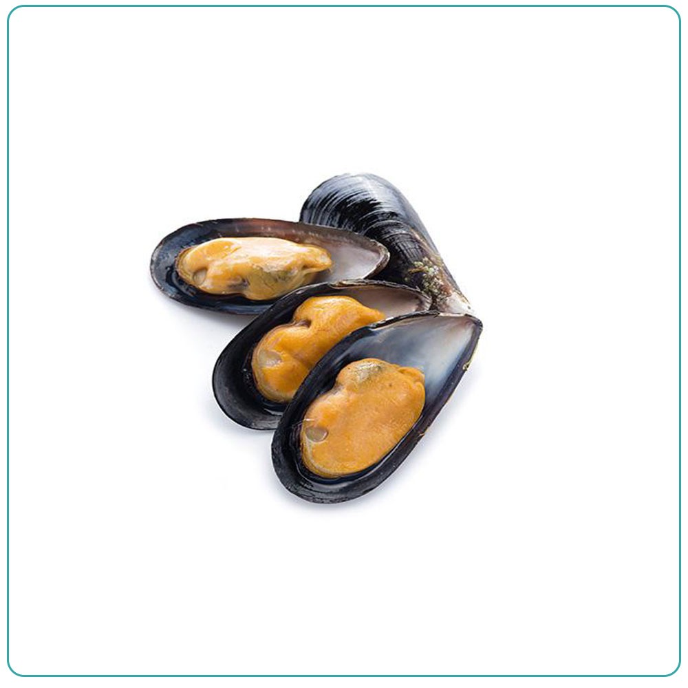 Мидии «Киви» на полустворке