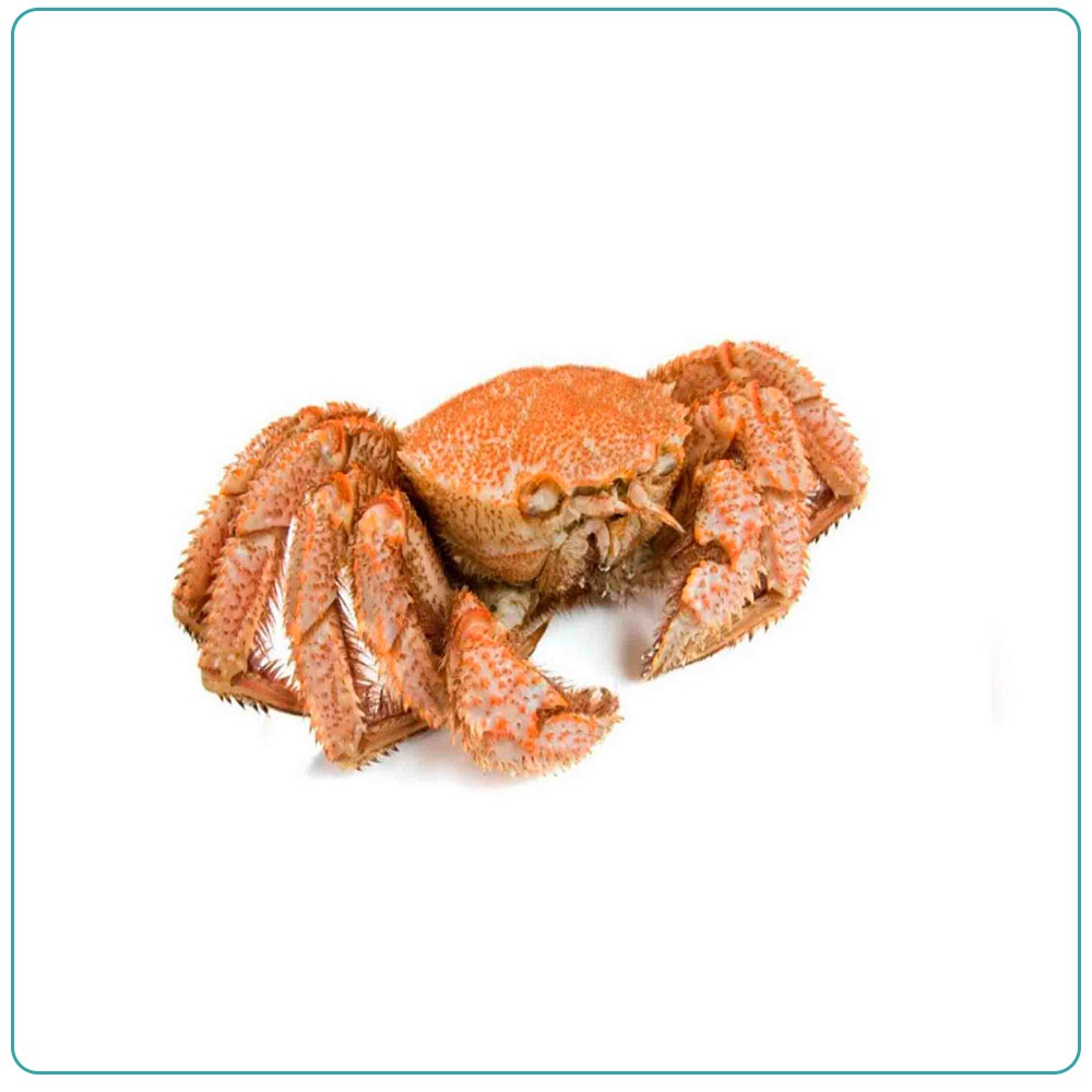 Краб «Волосатик» ( от 700 гр . )