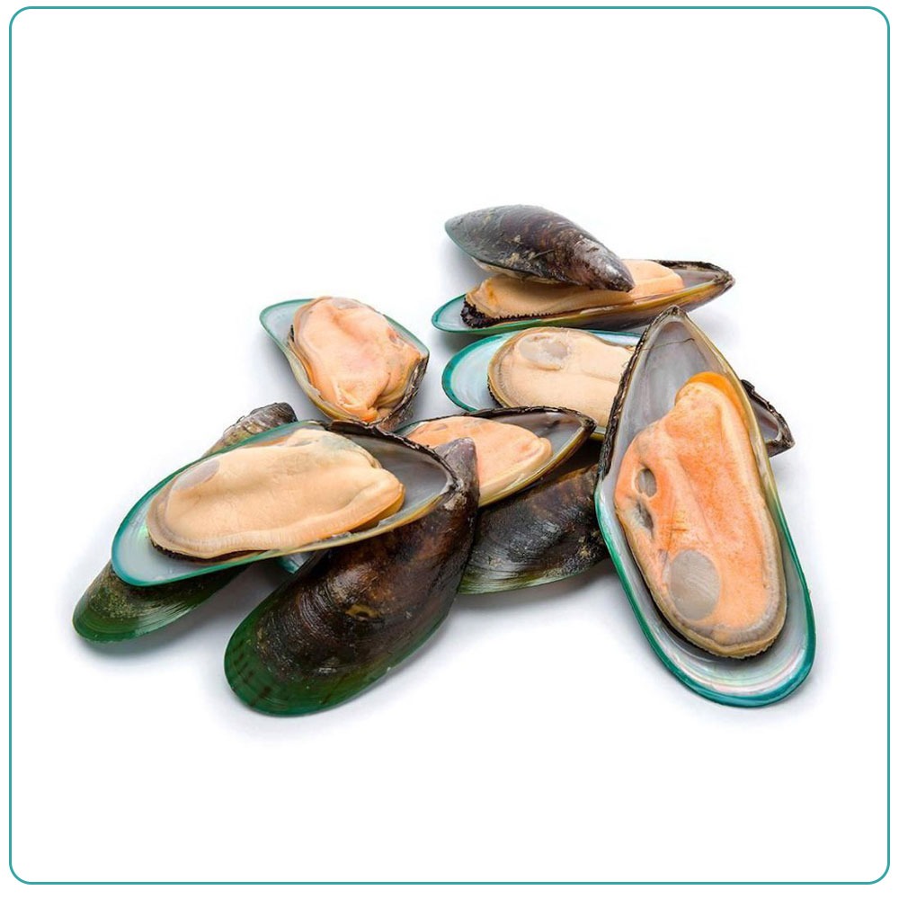 Мидия Грея на полустворке