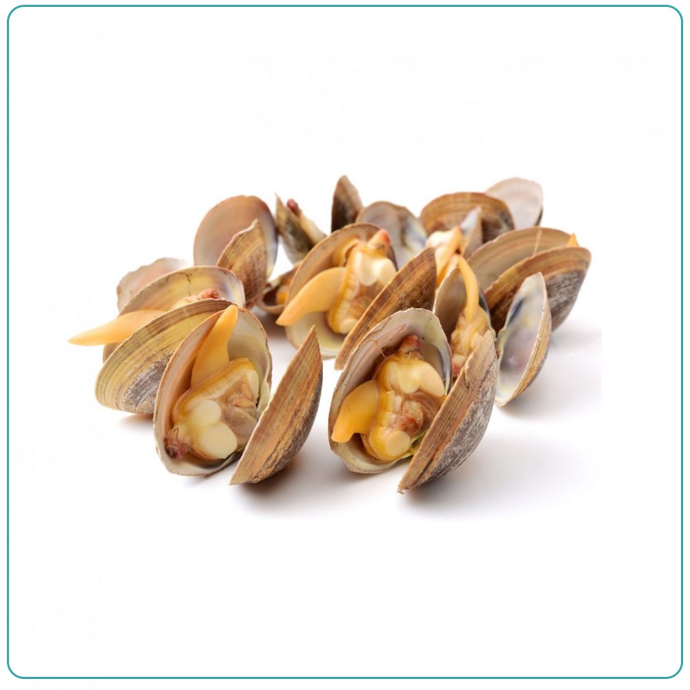 Клемы Вонголе в раковине В/М 31-40шт