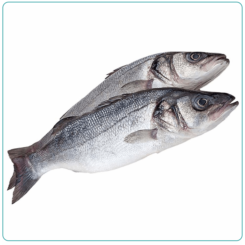 Сибас н/р 300-400 Турция